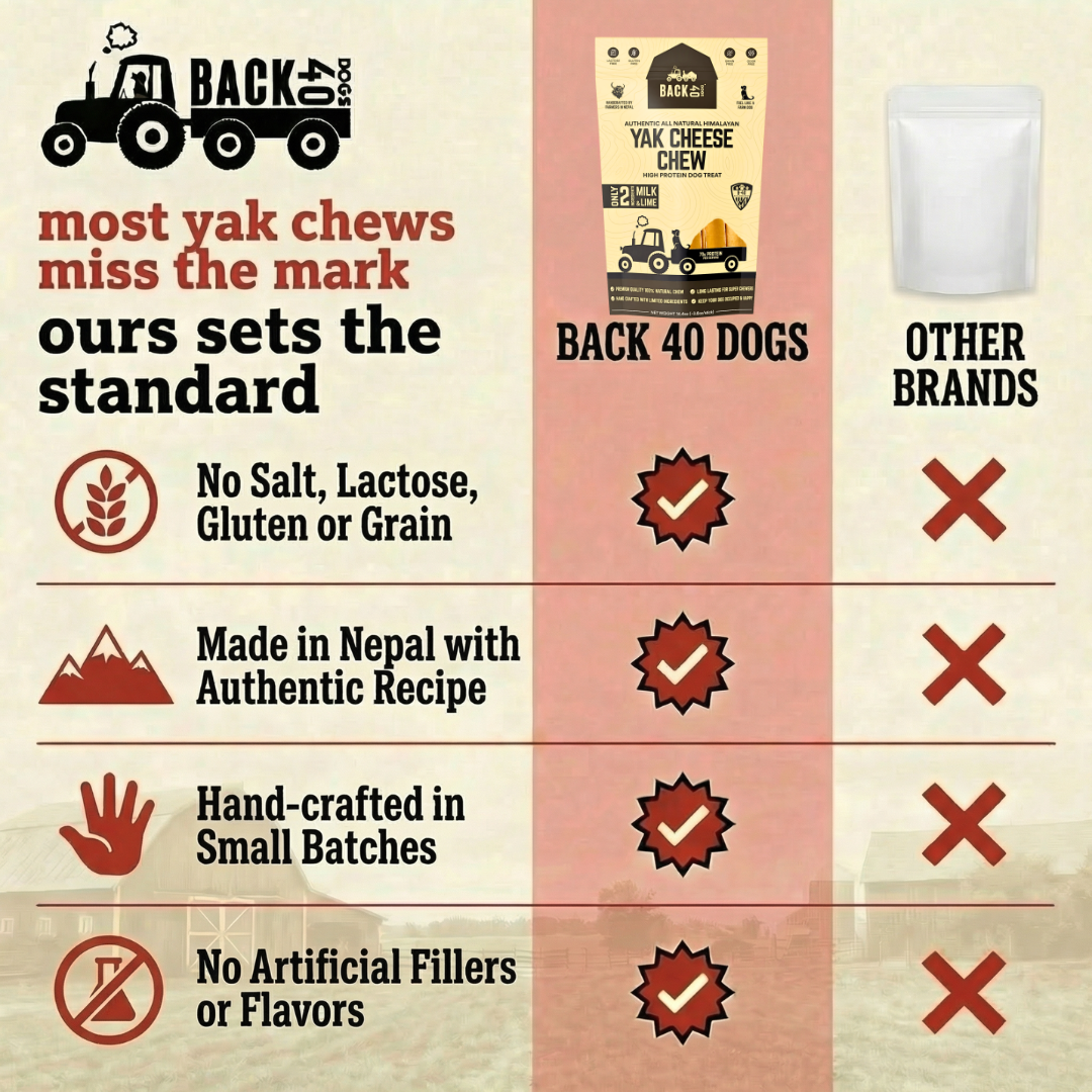 YAK CHEESE HIMALAYAN DOG CHEWS