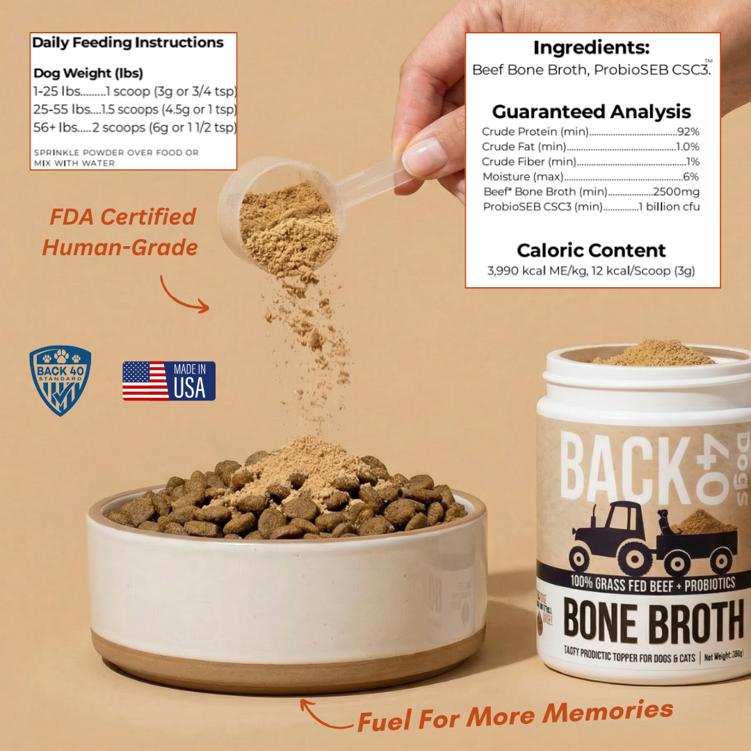 BONE BROTH PROBIOTIC