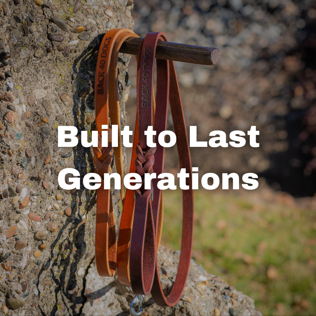 The 100 Year Leash: 6'