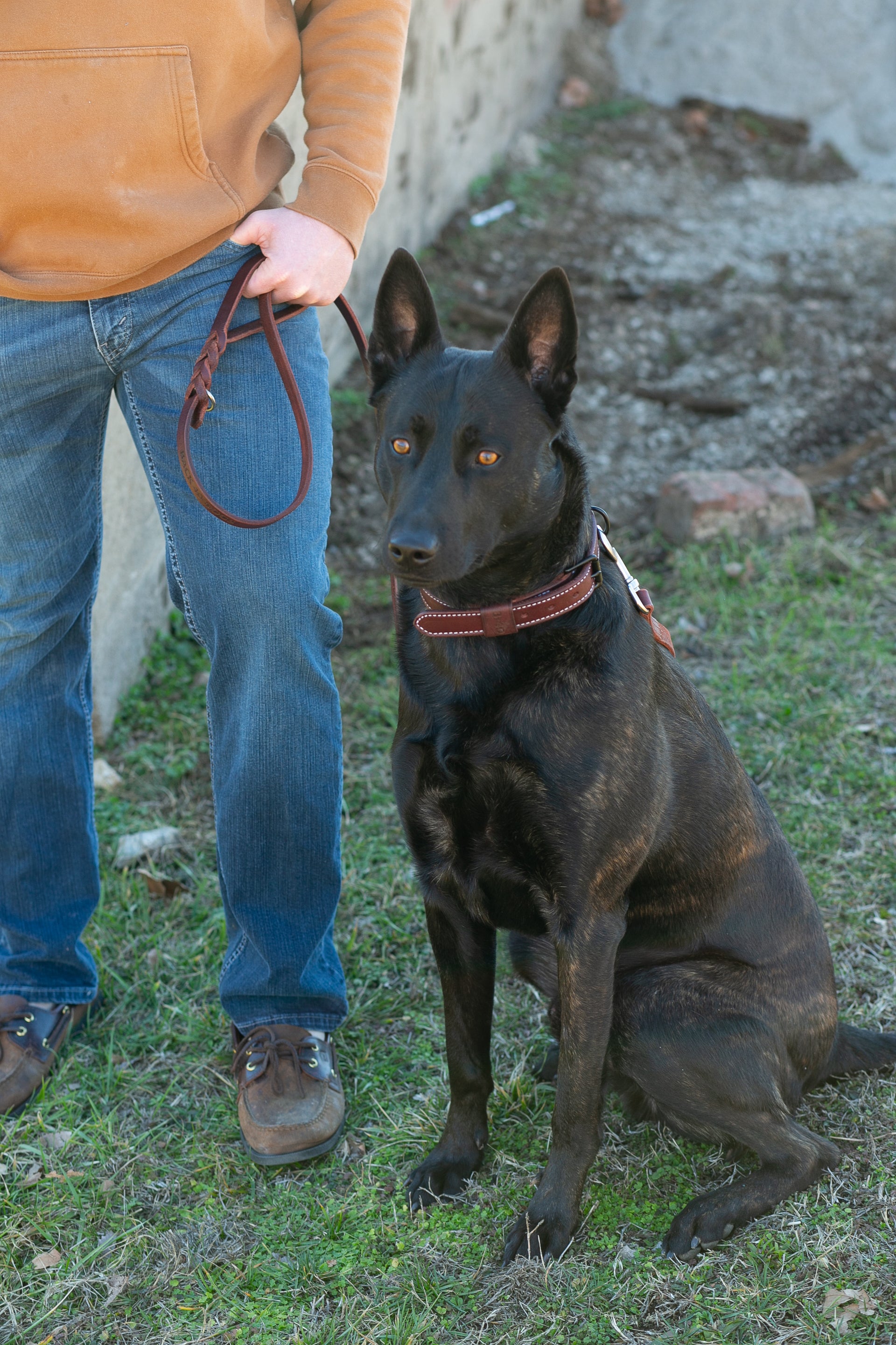 The 100 Year Leash: 6'