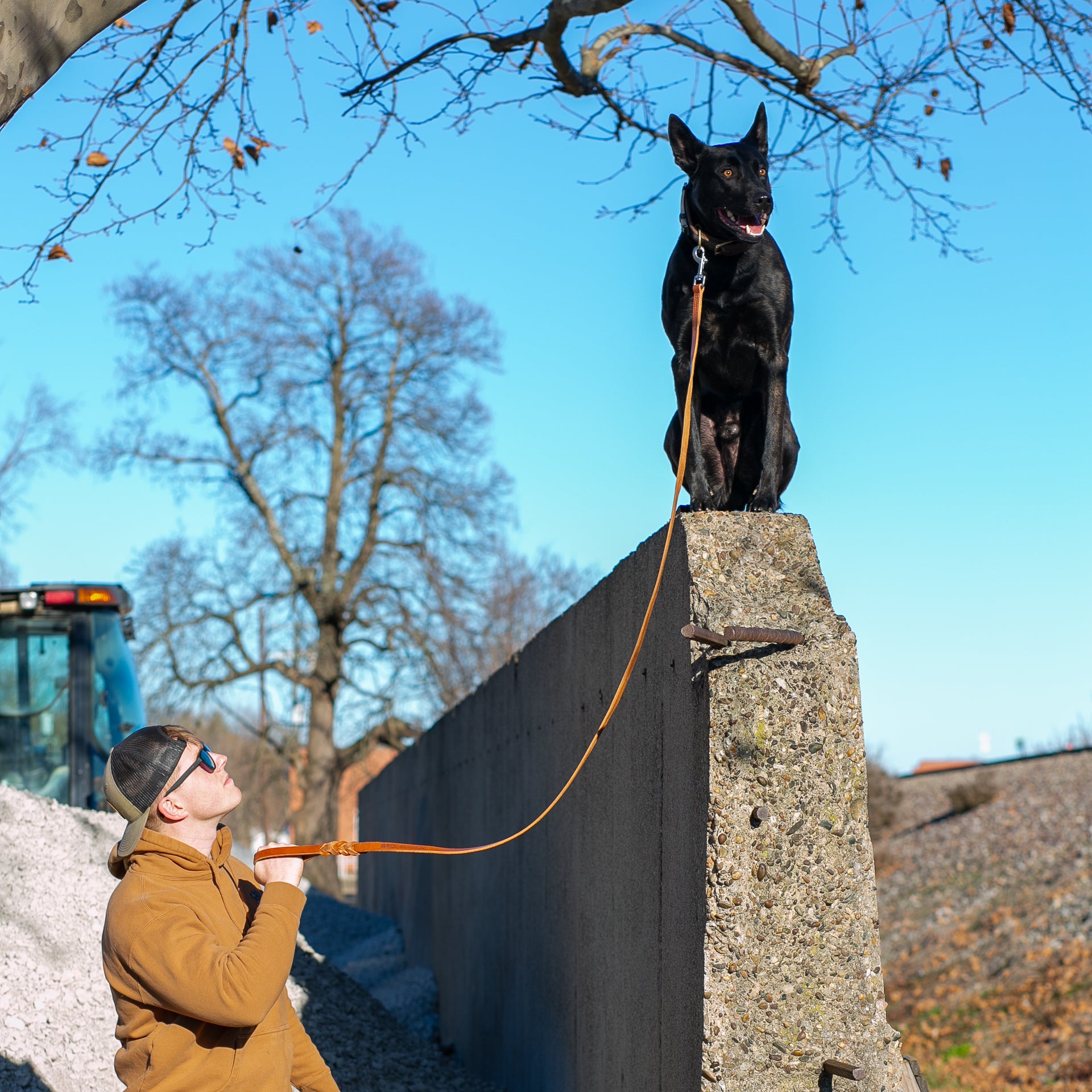 The 100 Year Leash: 6'