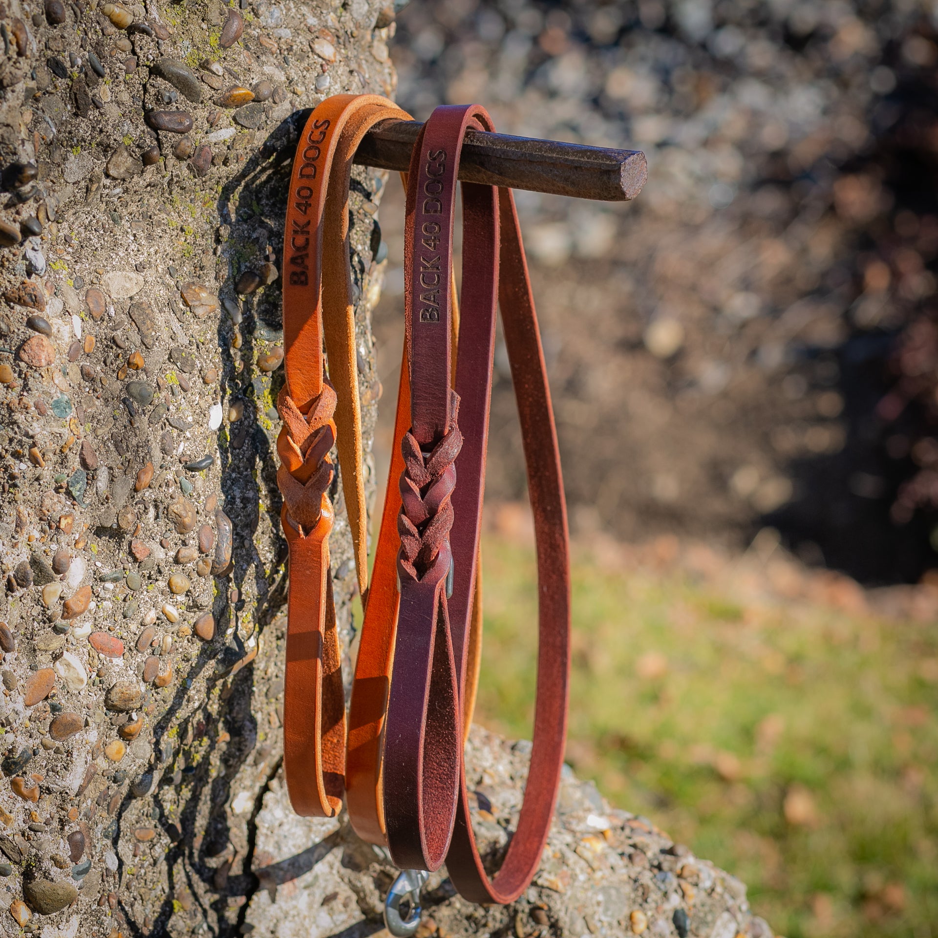 The 100 Year Leash: 6'