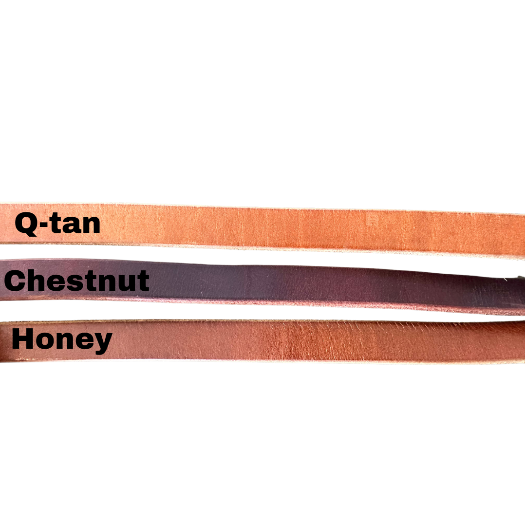 The 100 Year Leash: 6'