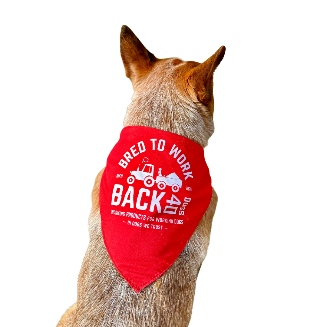 Bred to Work Bandana